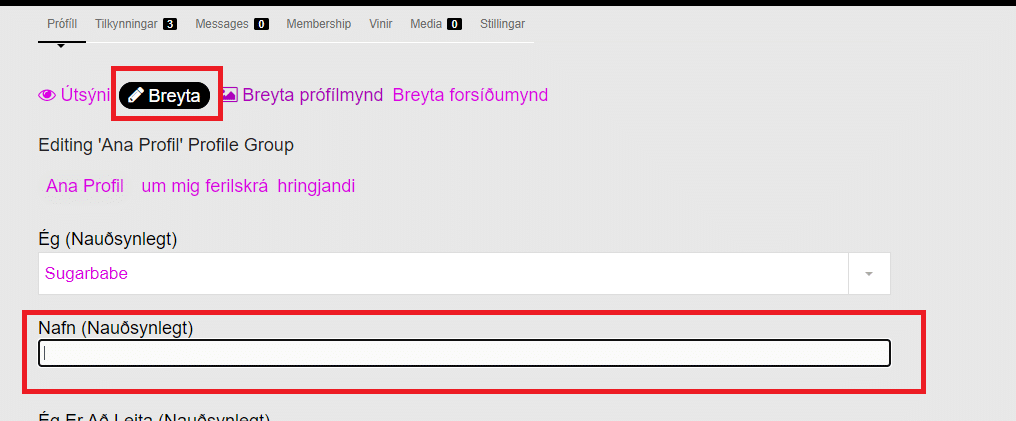 skjáskot af því hvar notandanafni prófílsins er breytt.